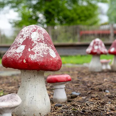 Alhoumont - L'echappee Ardennaise - Rustique